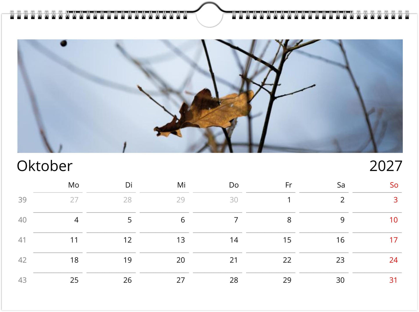 Natur Fotokalender 2027 | Wandkalender mit Kalendarium | Küsten- & Reisekalender | Geschenk für Deutschland Deutschland USA Küste Fotografie