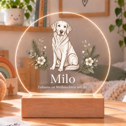 Personalisiertes Nachtlicht rund, Hund vom Foto zu Weihnachten, LED Acryl mit Holzsockel, Tierporträt mit Namen, Geschenk Hundebesitzer