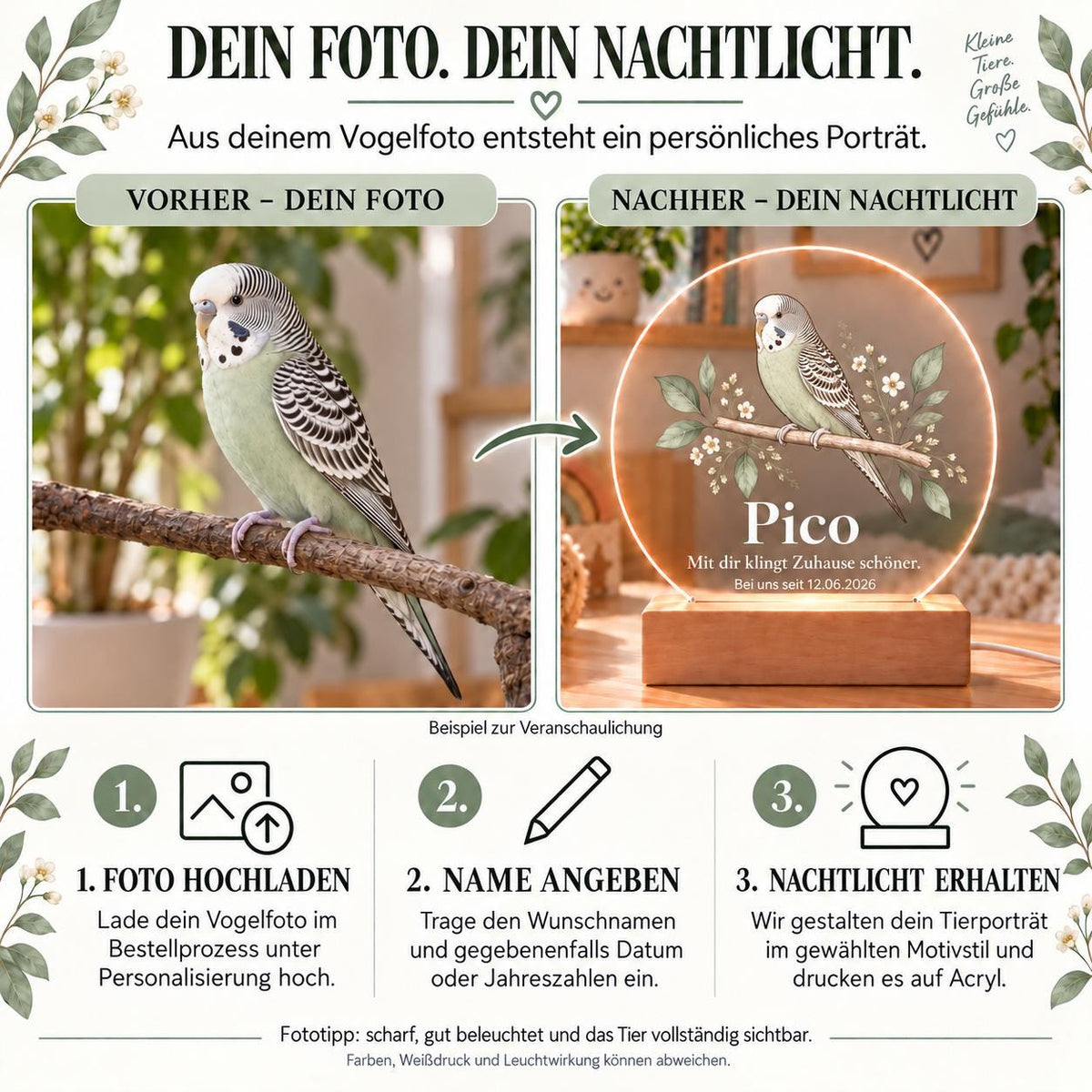Personalisiertes Nachtlicht rund, Wellensittich oder Vogel vom Foto, LED Acryl mit Holzsockel, Name und Datum, Geschenk Vogelliebhaber
