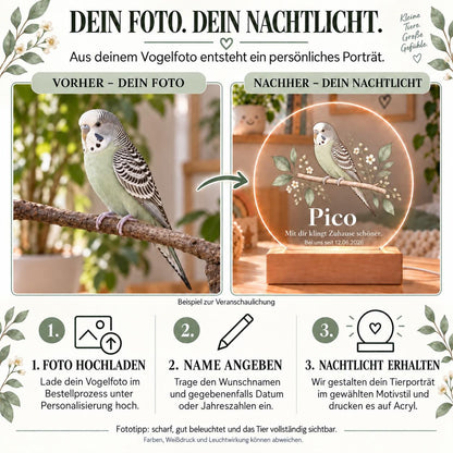 Personalisiertes Nachtlicht rund, Wellensittich oder Vogel vom Foto, LED Acryl mit Holzsockel, Name und Datum, Geschenk Vogelliebhaber