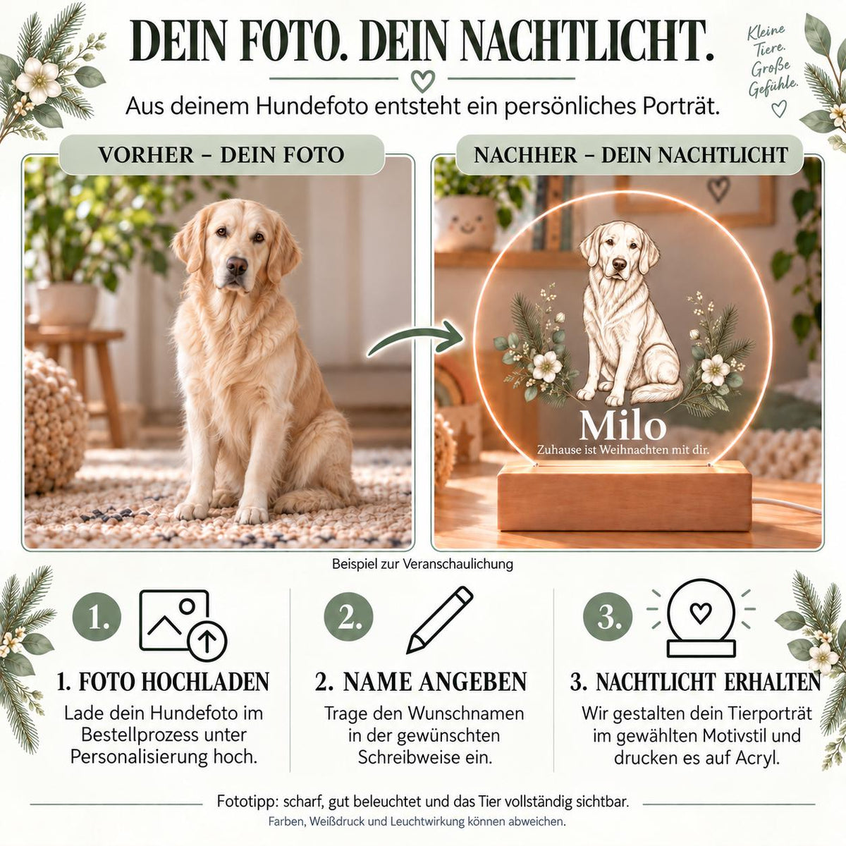 Personalisiertes Nachtlicht rund, Hund vom Foto zu Weihnachten, LED Acryl mit Holzsockel, Tierporträt mit Namen, Geschenk Hundebesitzer