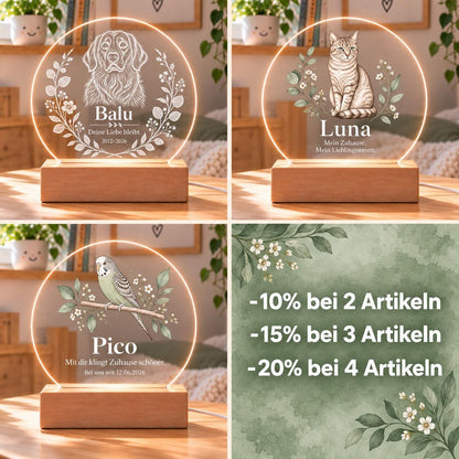 Personalisiertes Nachtlicht rund, Wellensittich oder Vogel vom Foto, LED Acryl mit Holzsockel, Name und Datum, Geschenk Vogelliebhaber