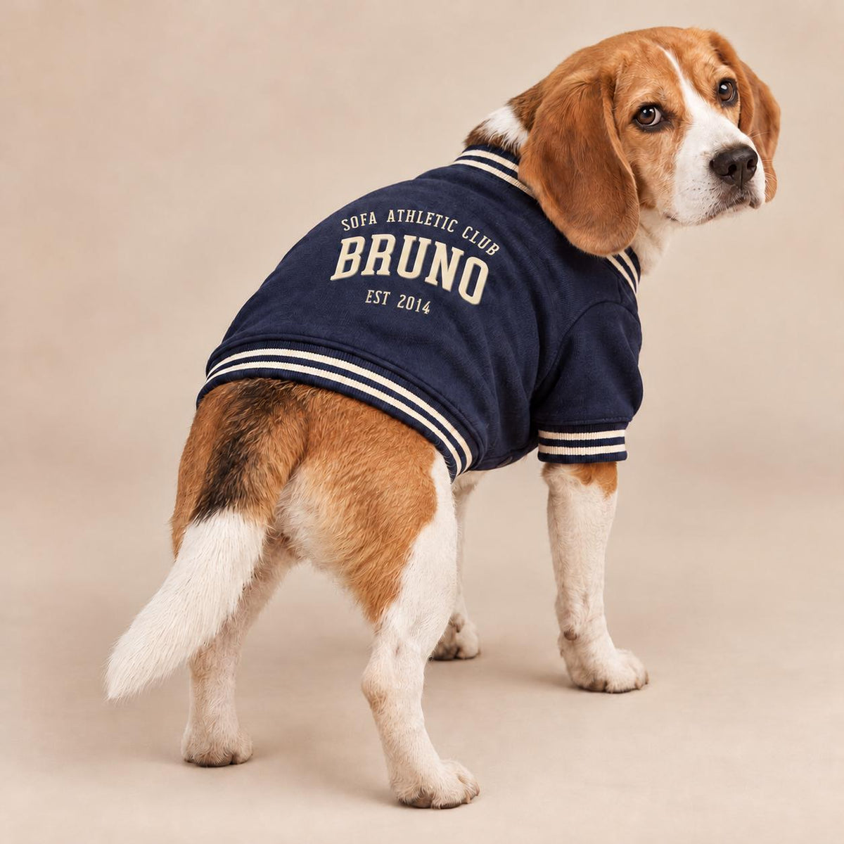 Personalisierte Collegejacke für Hunde mit Name und Jahr – Sofa Athletic Club – Navy Hundejacke – Geschenk für Hundemama und Hundepapa
