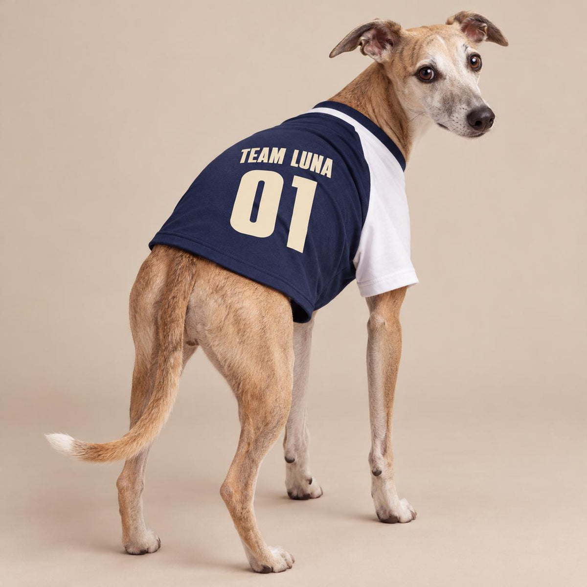 Personalisiertes Hundetrikot mit Name und Nummer – Team Luna – Raglan Hundeshirt Navy Weiß – Geschenk für Hundebesitzer zum Geburtstag