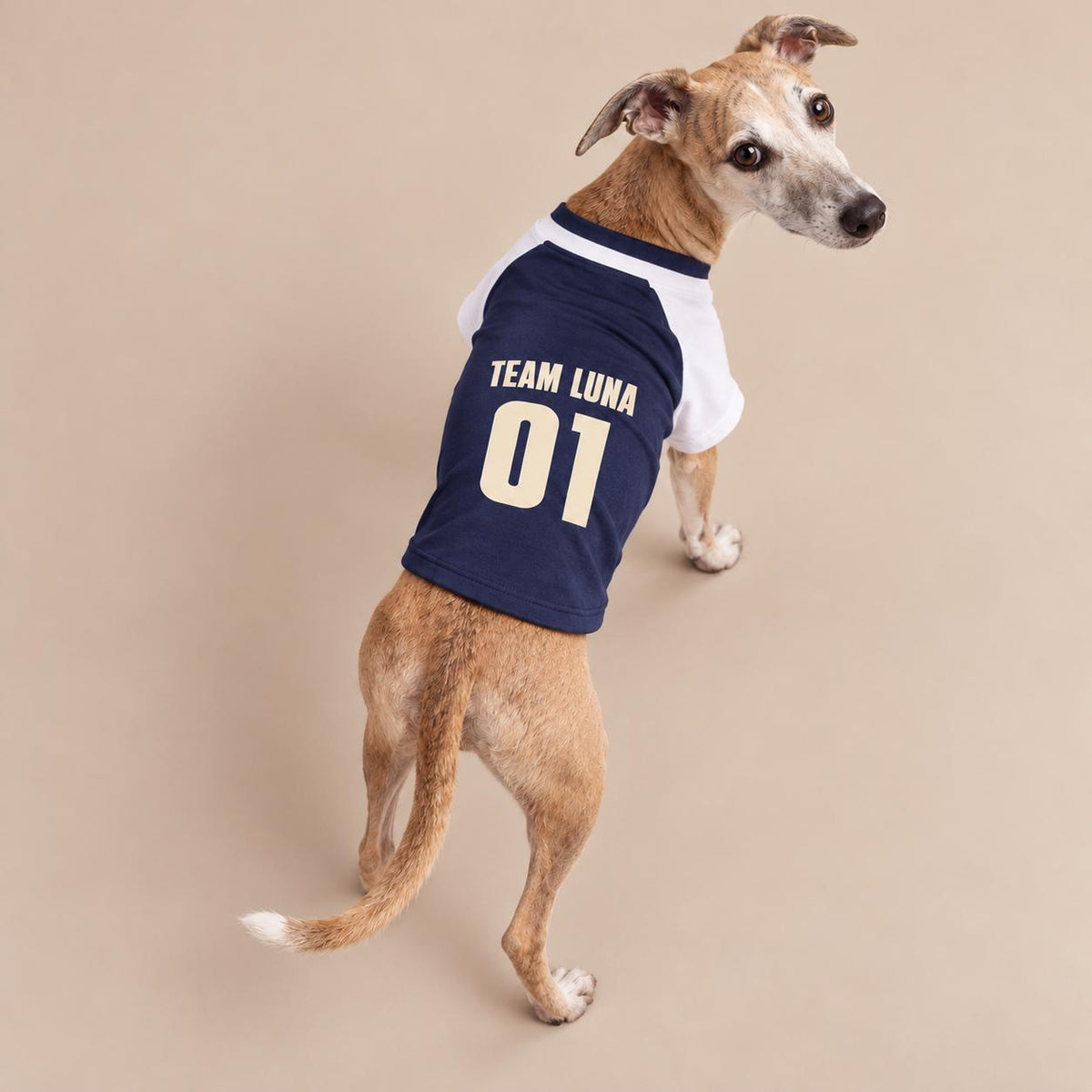 Personalisiertes Hundetrikot mit Name und Nummer – Team Luna – Raglan Hundeshirt Navy Weiß – Geschenk für Hundebesitzer zum Geburtstag