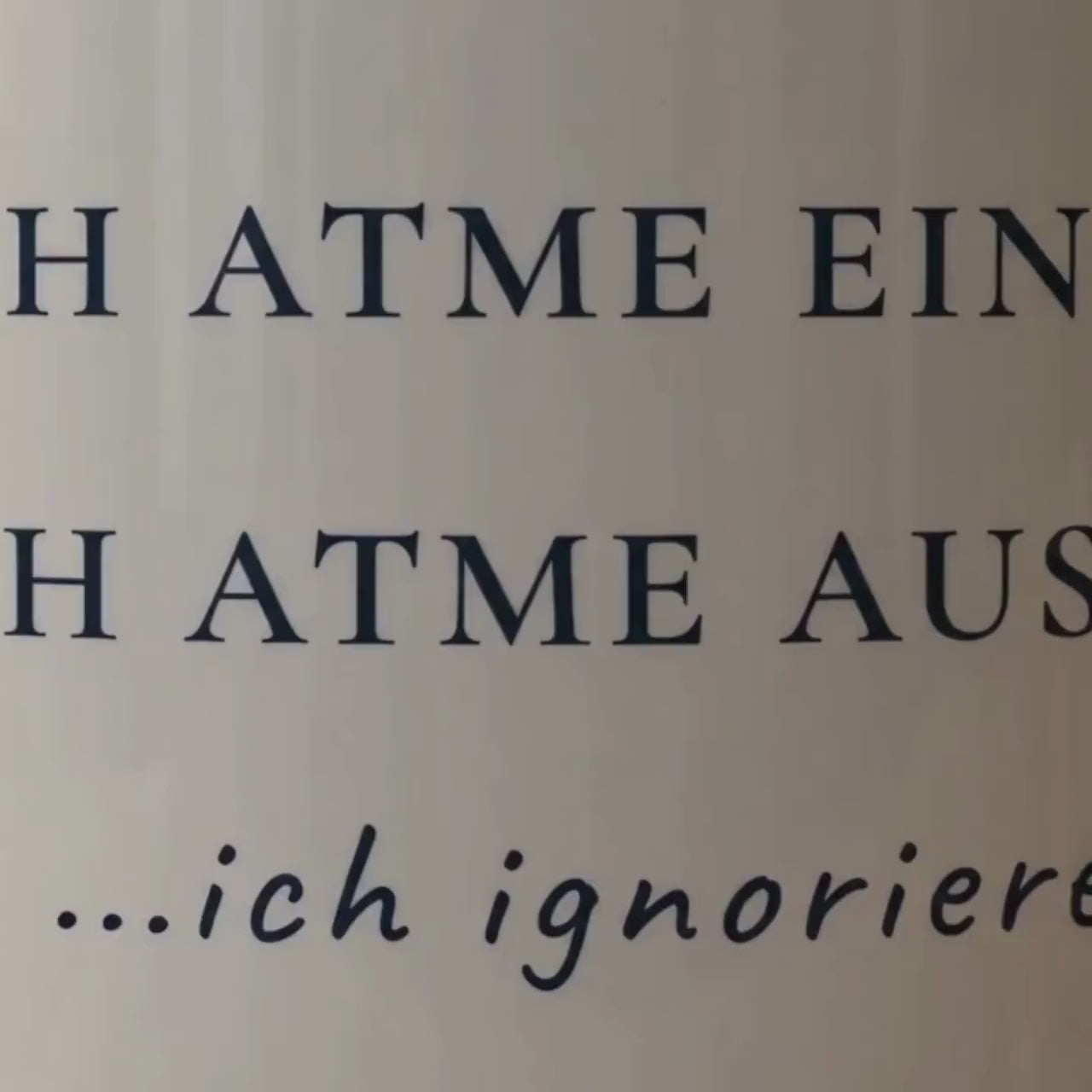 Ich atme ein, ich atme aus, ich ignoriere Kork Tasse | Lustige Achtsamkeits Tasse | Mental Health Becher | Geschenk Büro Humor Meditation