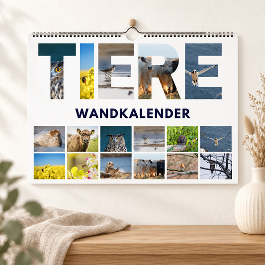 Tier & Natur Wandkalender 2027 im hellen Wohnraum
